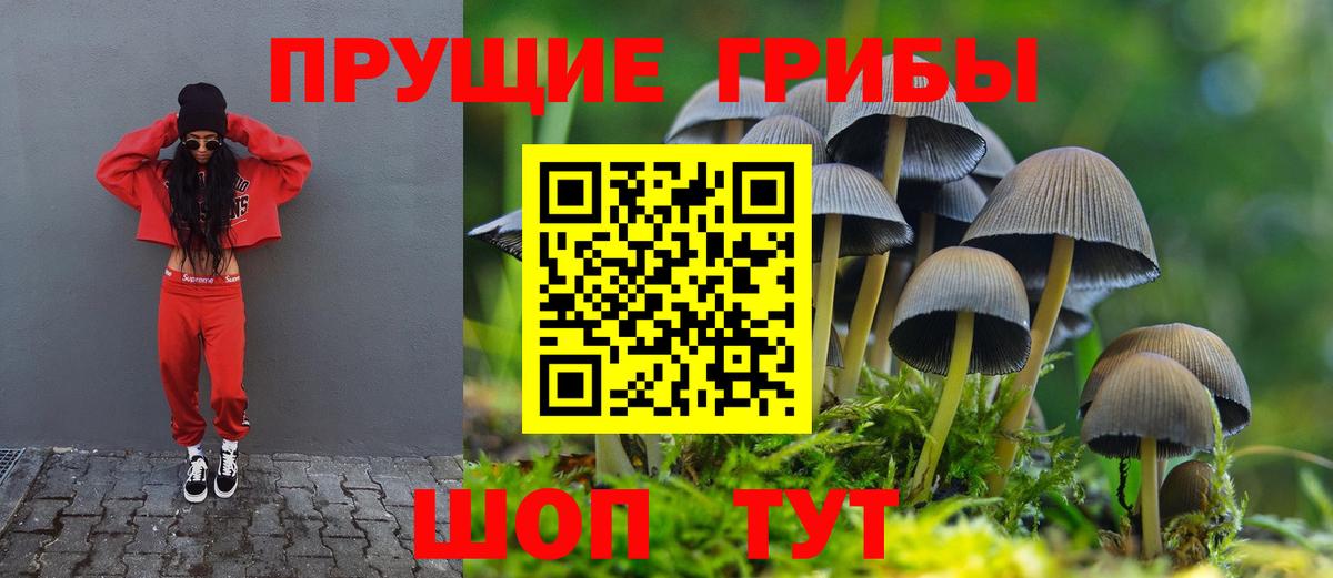 Галлюциногенные грибы прущие грибы  Вход с VPN  Чита 
